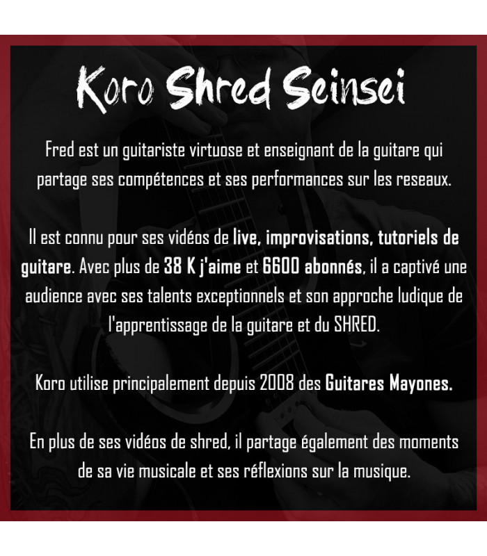 Set Micros Humbucker - KORO LEGACY modèle signature Frédéric Helle